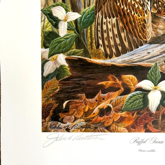 John A Ruthven Signed & Numbered Ruffed Grouse Print 1994 Wildlife Art 312/1000 - Picture 3 of 8